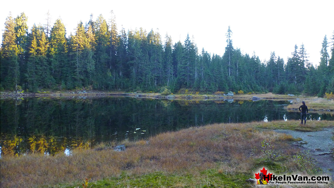 Goldie Lake Hike in Vancouver