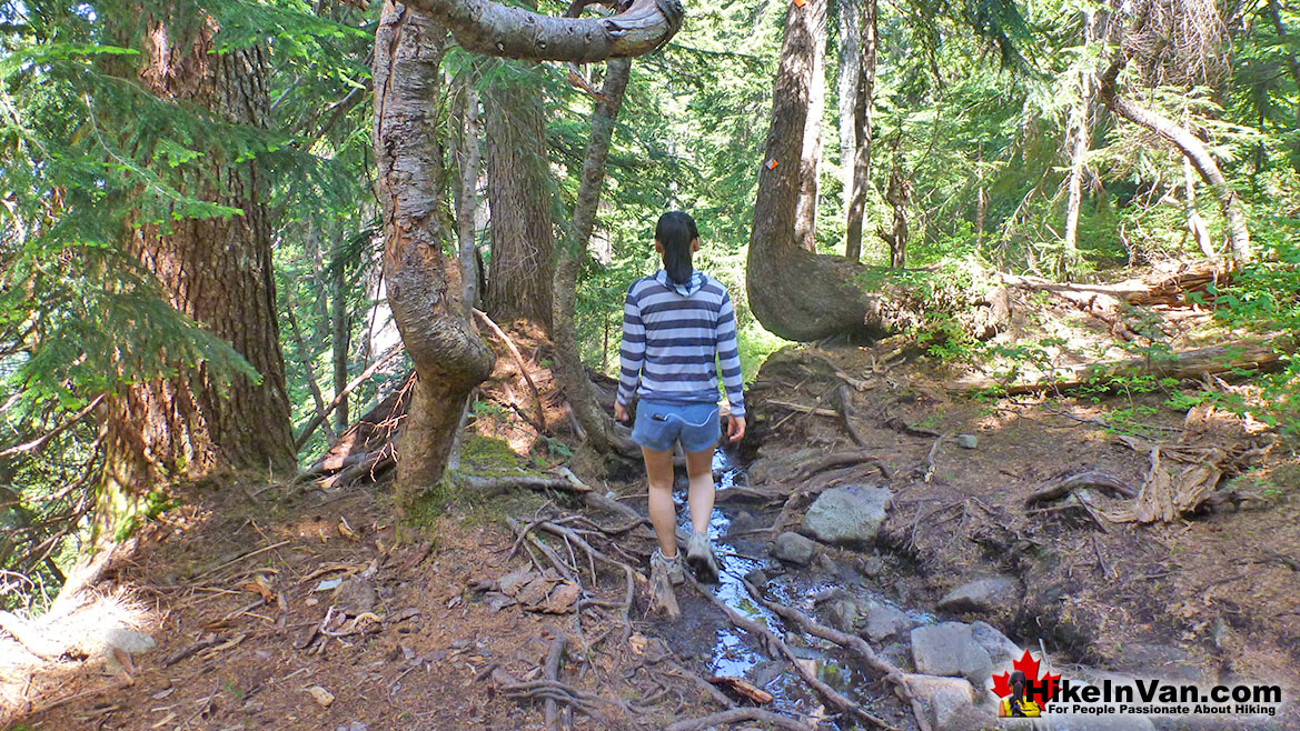 St Mark's Summit Trail