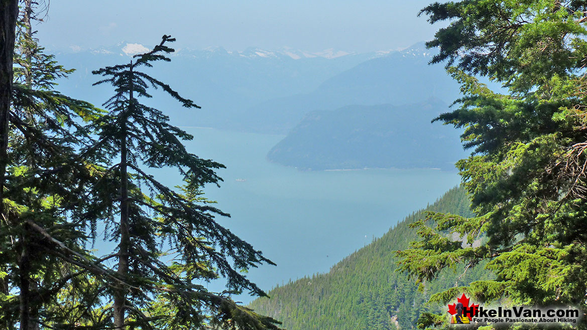 St Mark's Summit Trail View