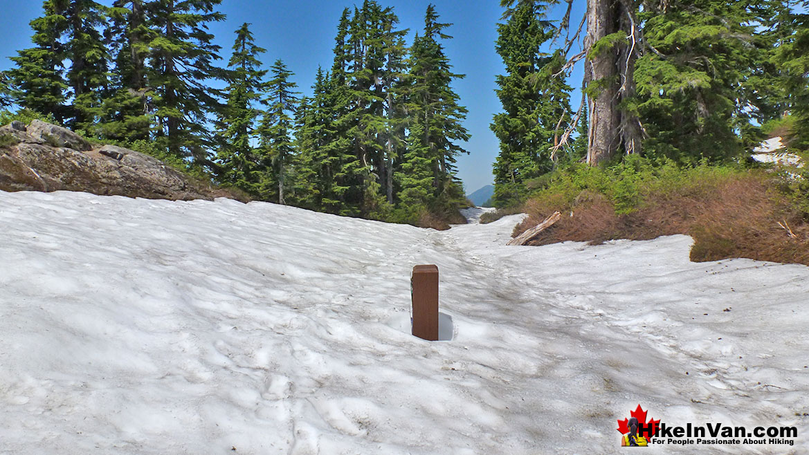 St Mark's Summit Snowy Trail